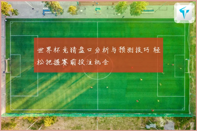 世界杯竞猜盘口分析与预测技巧 轻松把握赛前投注机会